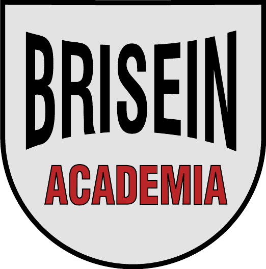 Brisein